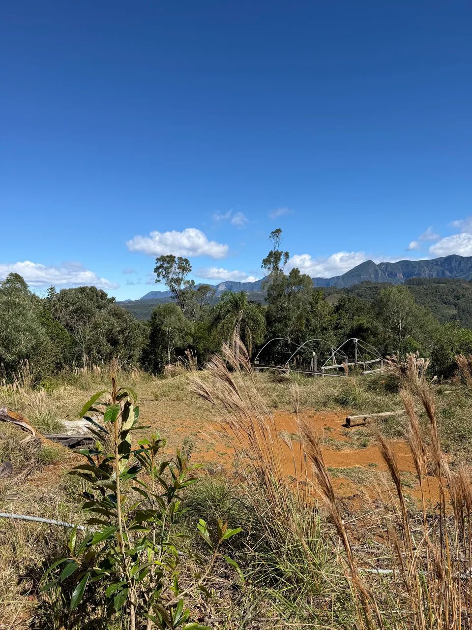 ANITÁPOLIS/SC - Belíssimo sítio com vista para a Serra geral  - Foto 4