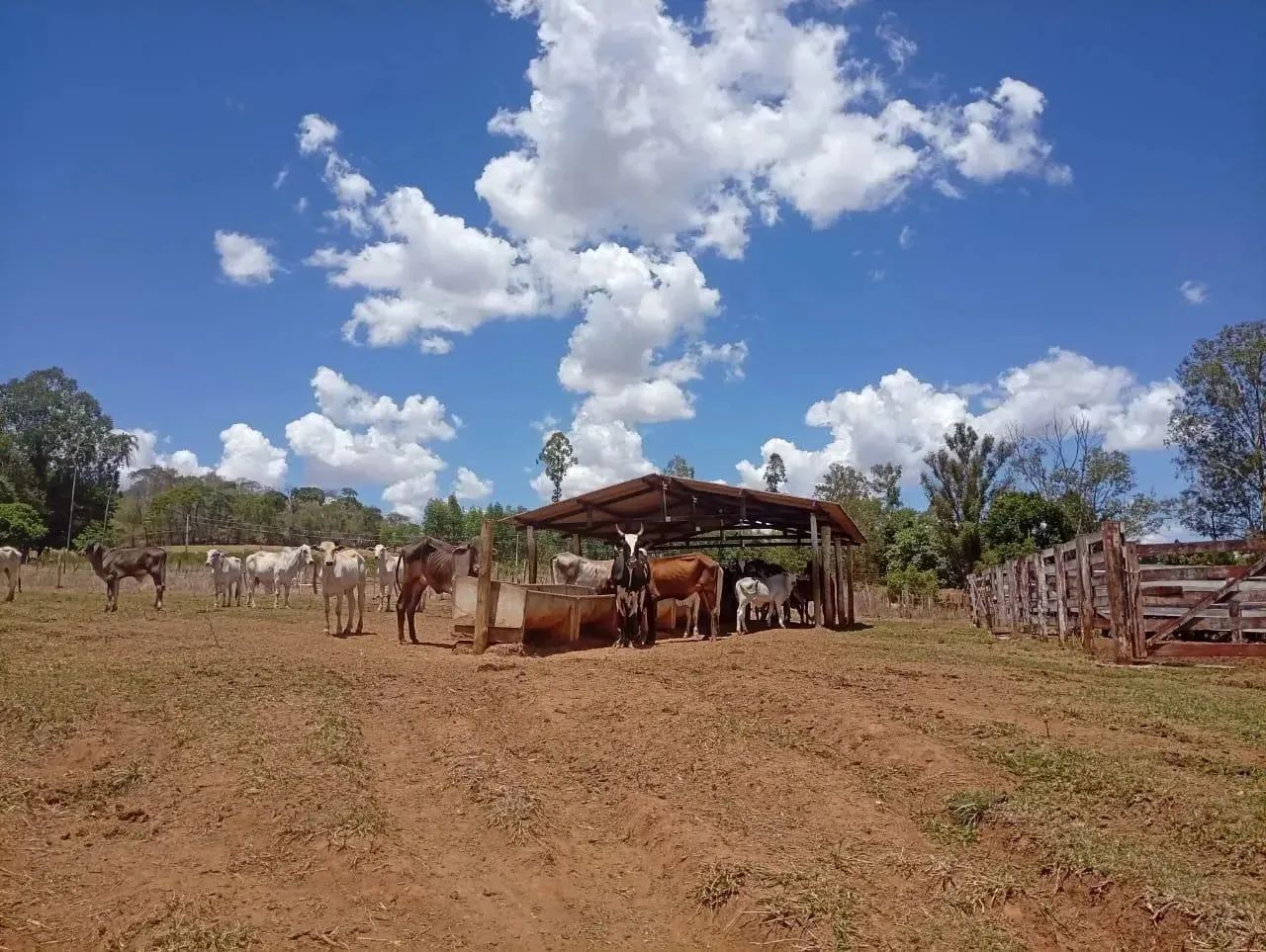 Terreno Rural com 3 represas e ótima estrutura - Foto 4