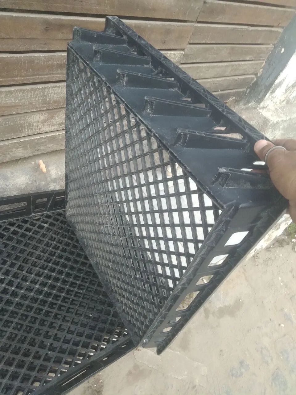 Galeias muito forte. - Foto 3