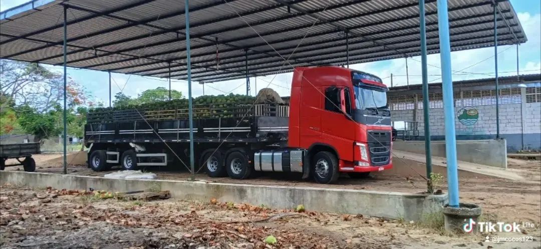 Fh 460 2020 6x2 e carrega guerra 2016
