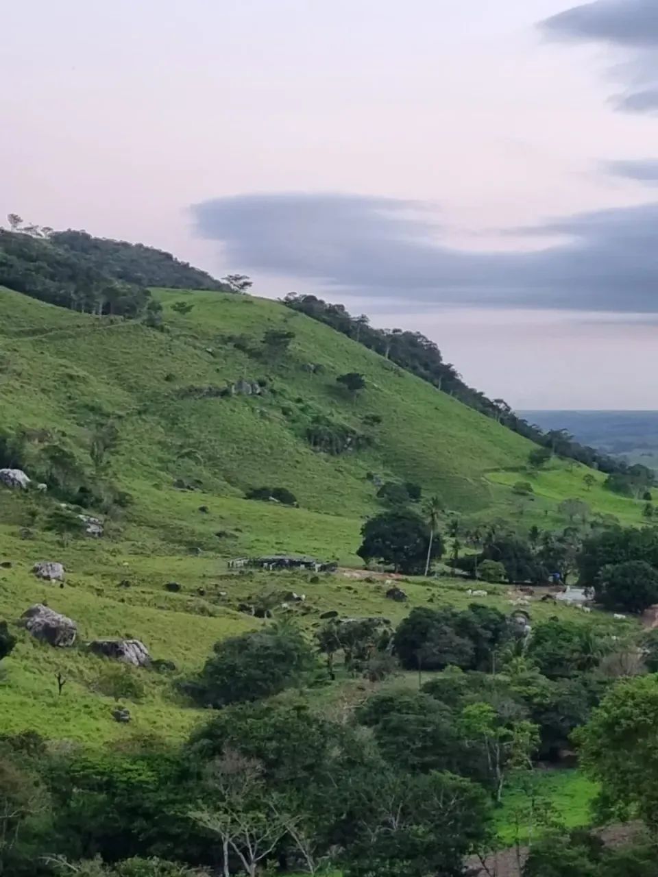 Fazenda À Venda em Atalaia - Foto 3