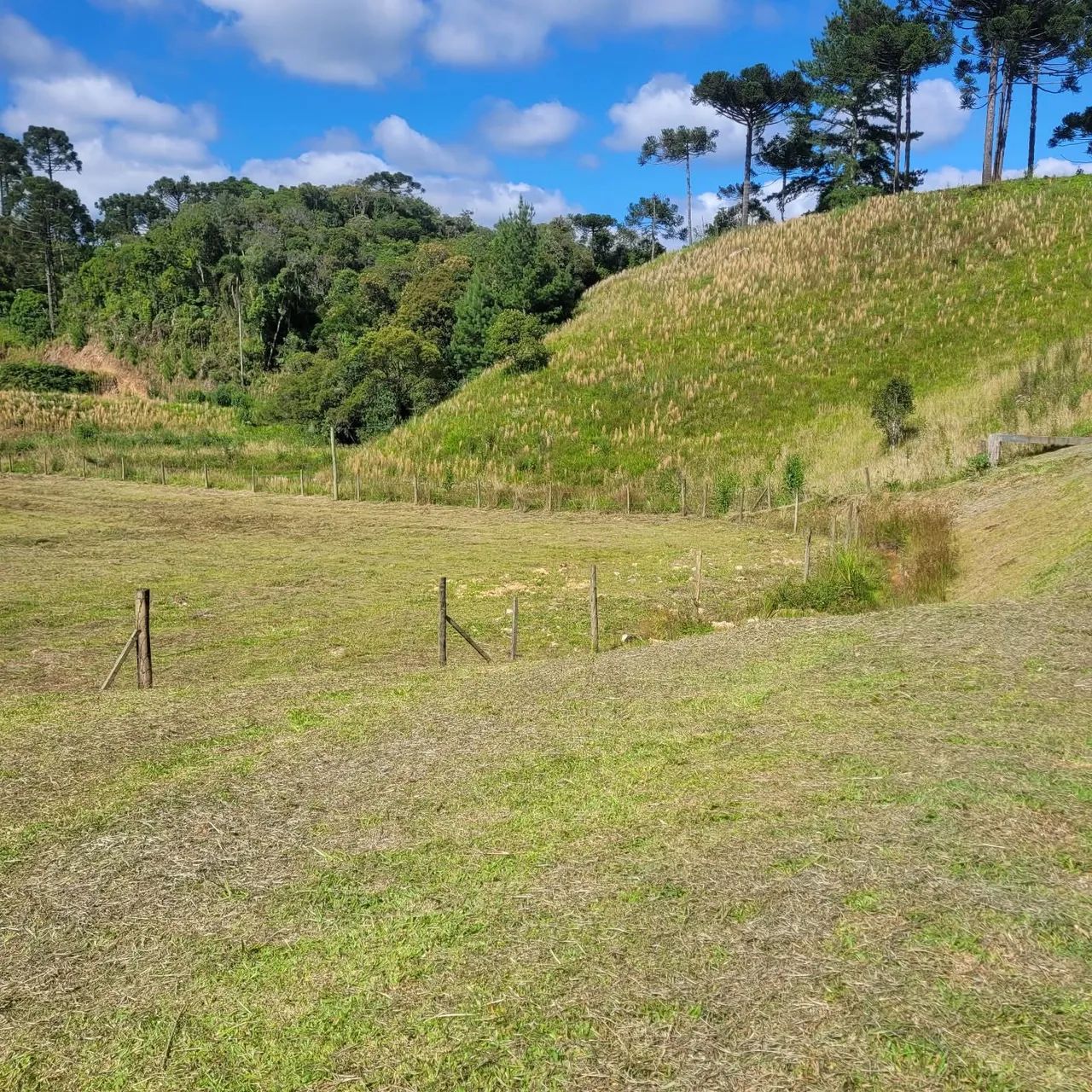 Terreno em Rancho Queimado  - Foto 2