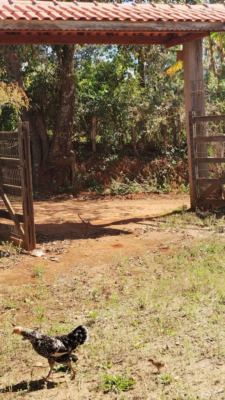 Chácara em Munhoz , fechado com alguns itens 