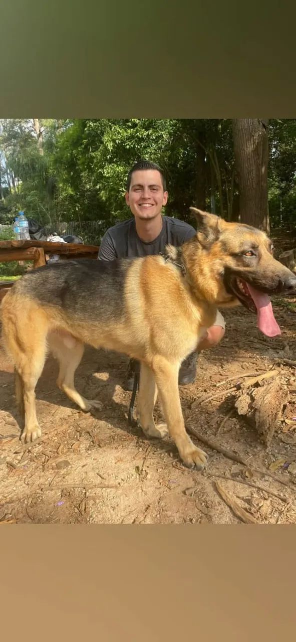 Passeador de Cães (Pet Walker) - Mogi Guaçu - Foto 2