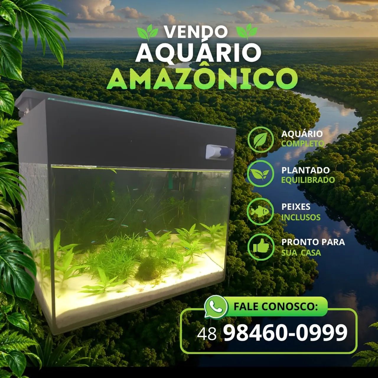 Aquário 50L 