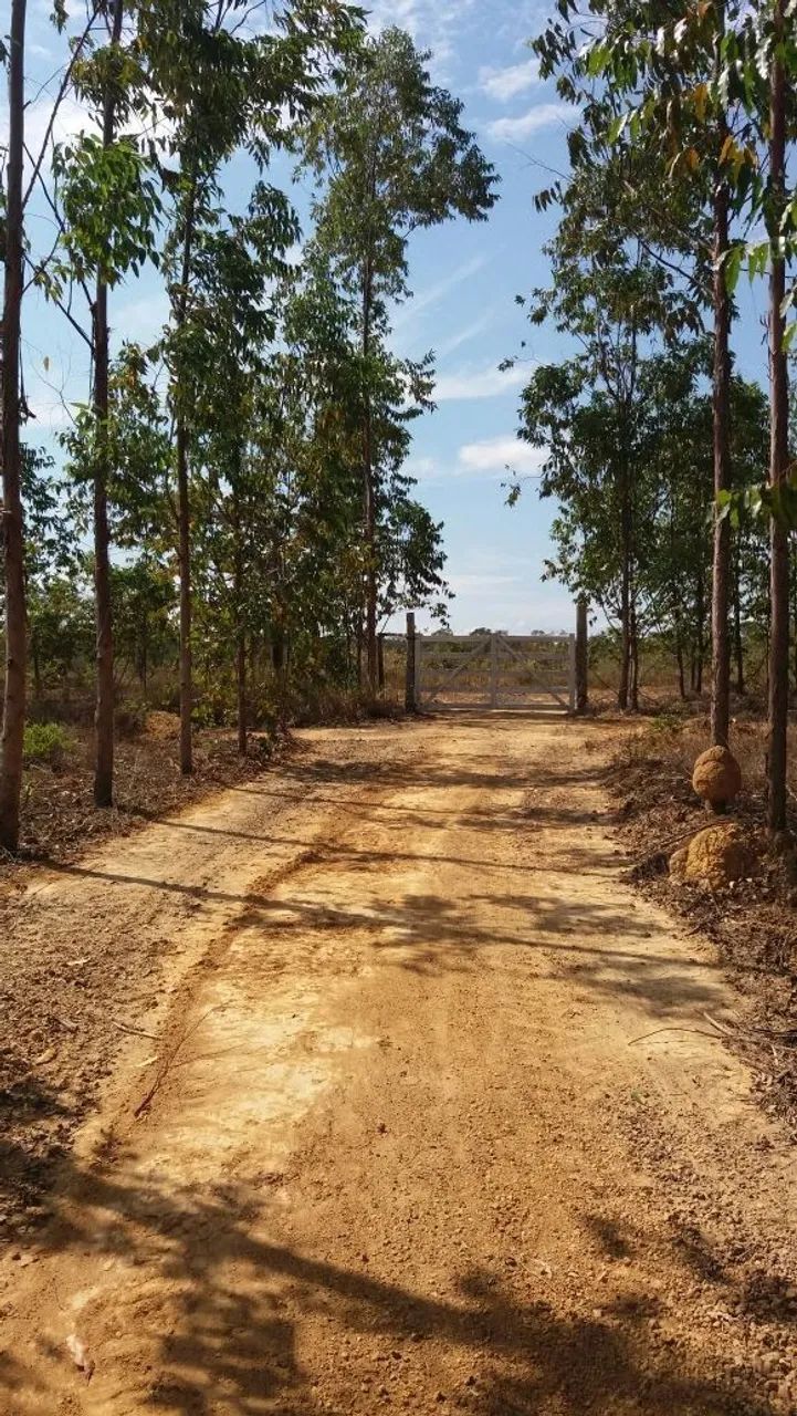 Foto - Ribeirão das Neves - Status