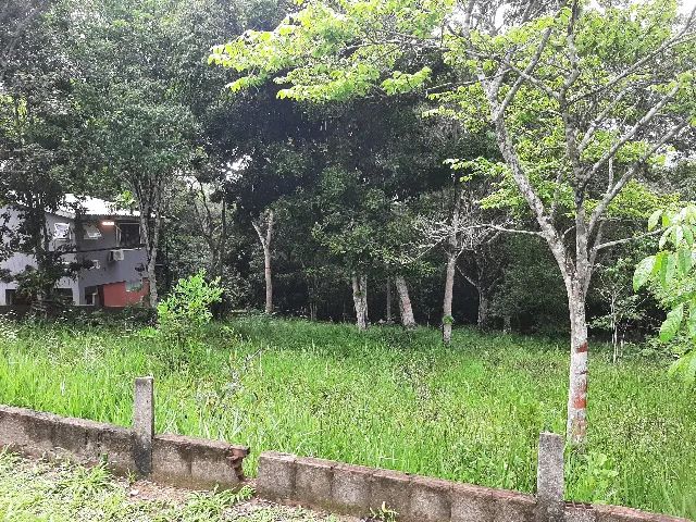 Terreno em Aldeia (700m2) - Foto 2