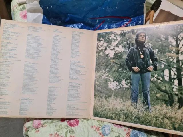 LP Roberto Carlos - 1981 - Foto 2