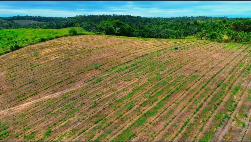 Fazenda para Café com irrigação  - Foto 4
