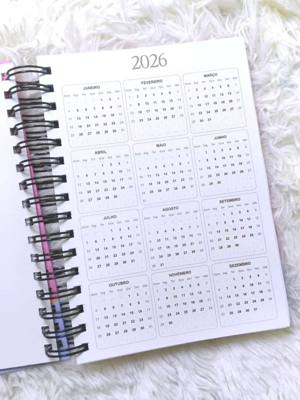 Agenda Personalizada - Tema Capivara - Foto 4