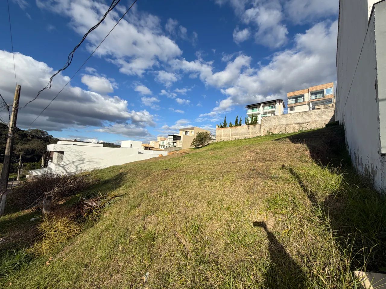 Lote / Terreno - Nova Gramado - Foto 4