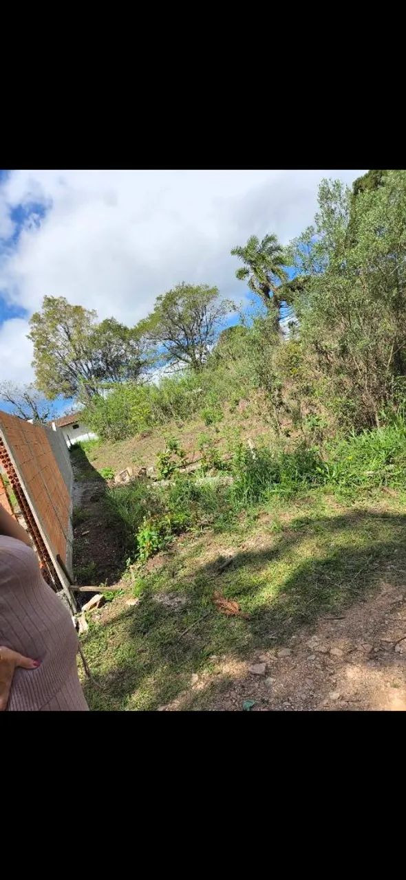 Foto - São José dos Pinhais - Aristocrata