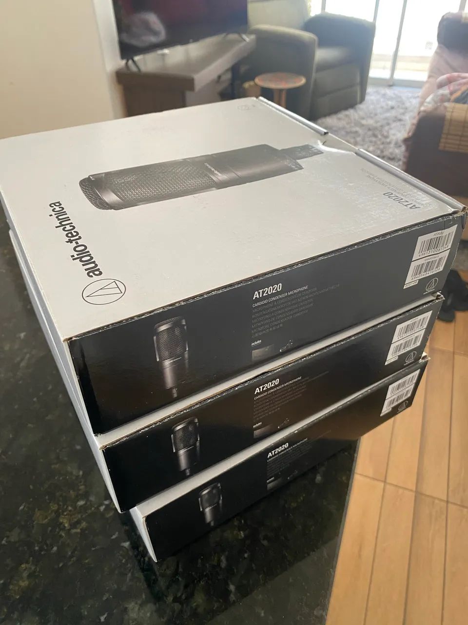 2 Microfones de Estudio Profissional 