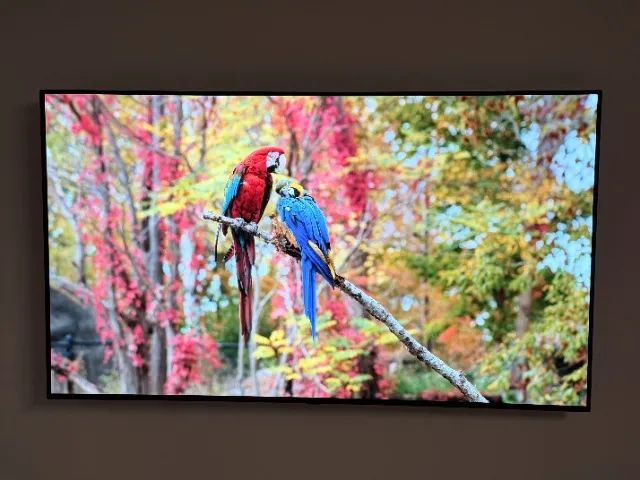 Smart TV LG C1 OLED 4k 120 Hz 55" Polegadas