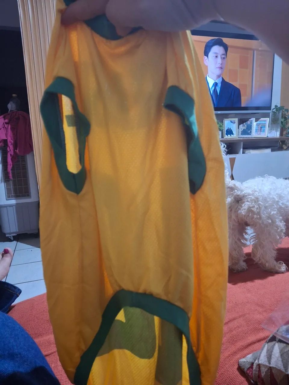 Roupa Brasil Pets - Foto 3