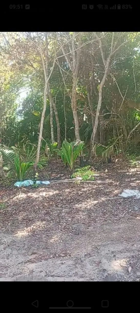 Terreno na praia de pindobal  - Foto 2