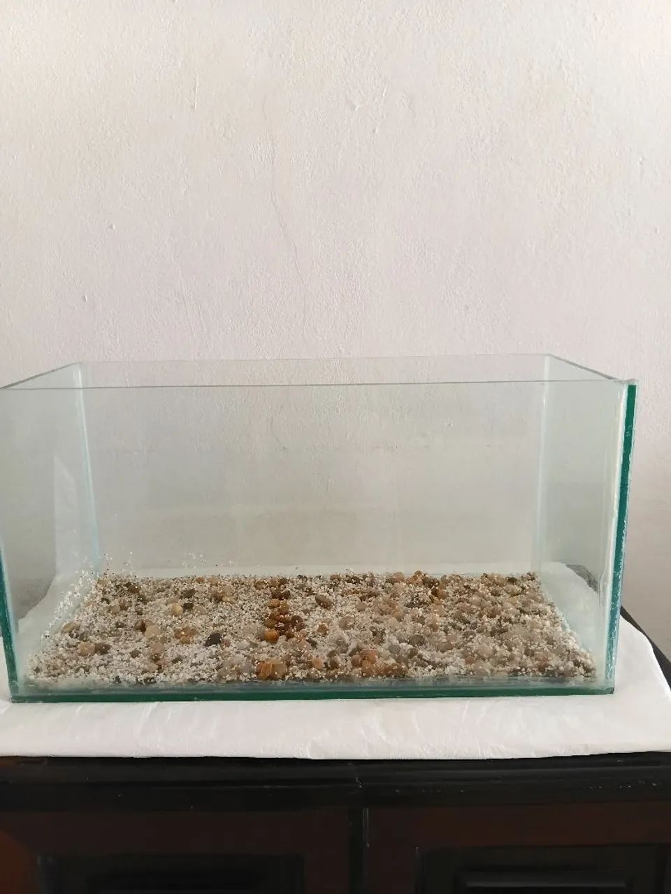 Aquário 
