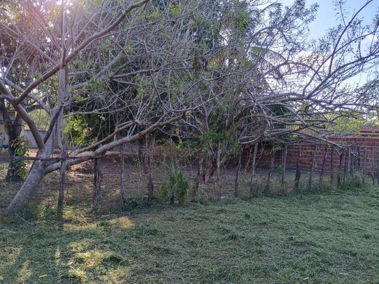Granja para trocar ou vender  - Foto 5