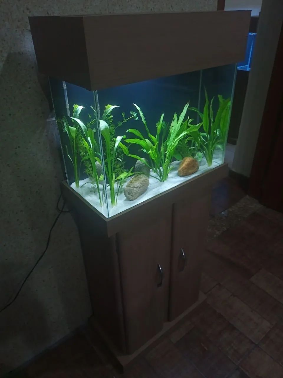 Vendo lindo aquário com móvel completo  - Foto 2