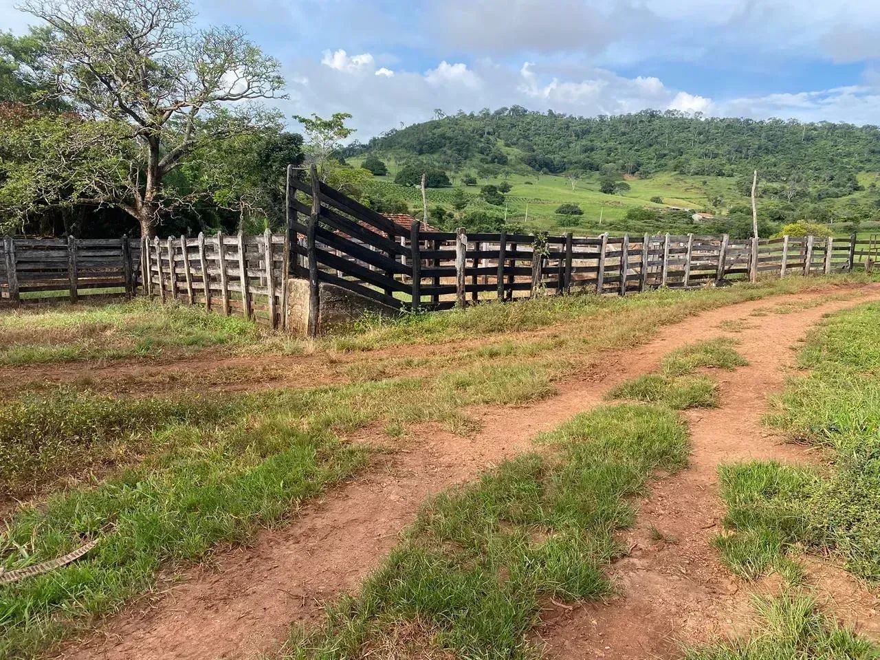 Chácara a venda em Taquaral - Goiás!!! - Foto 2