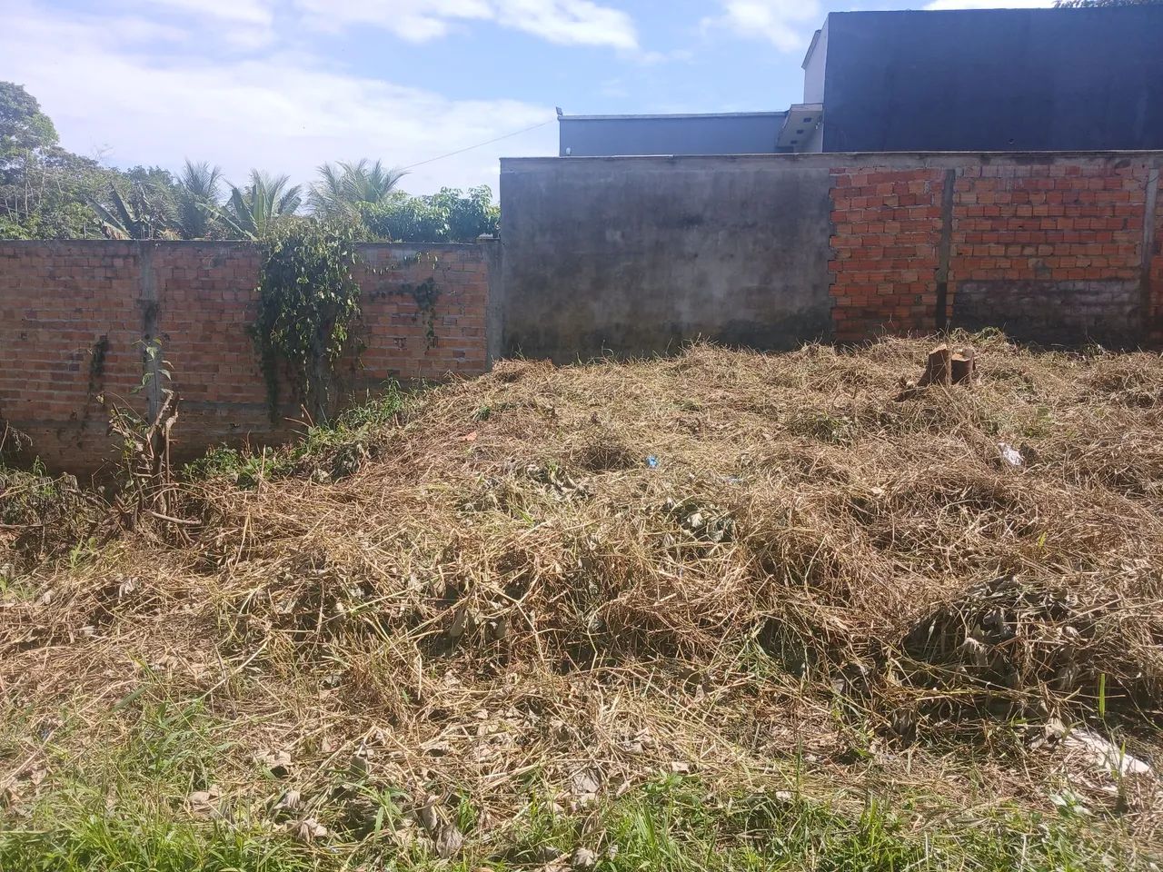 Terreno a venda Abaetetuba  - Foto 4
