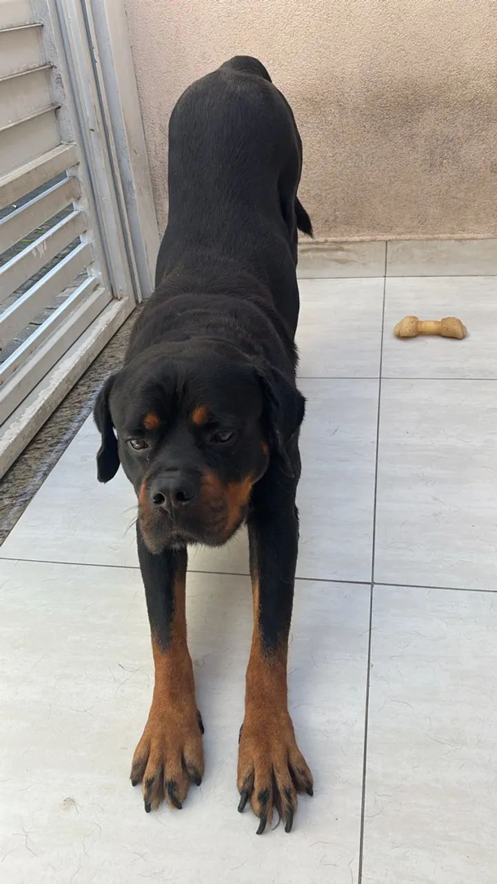 Doação - Foto 2