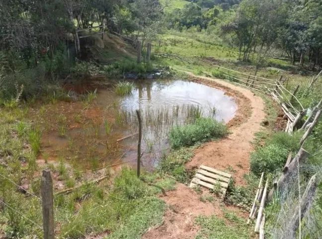 sitio em silvianópolis MG com 30 mil m² - Foto 4