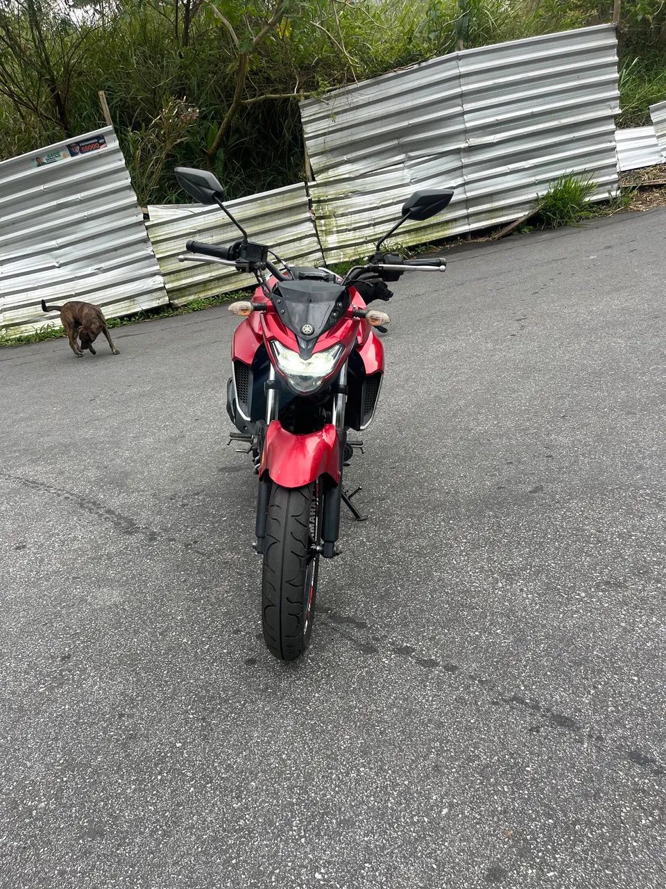 Fazer 250 / 2021 - Foto 2