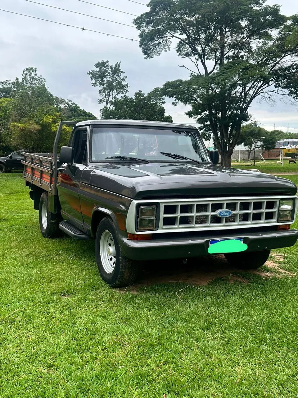 Ford F-1000 1992