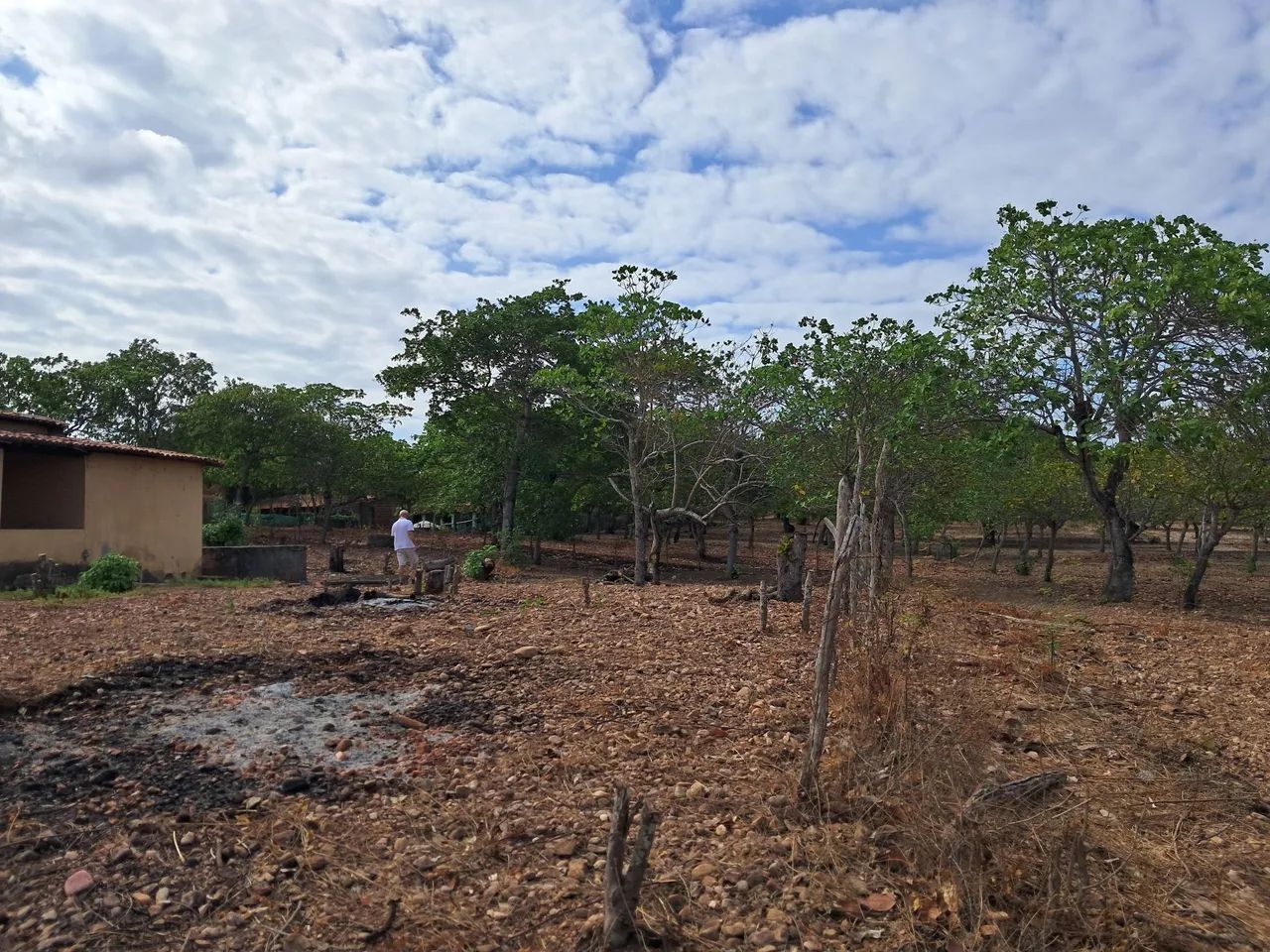 Sítio na vazantes aracoiaba - Foto 5