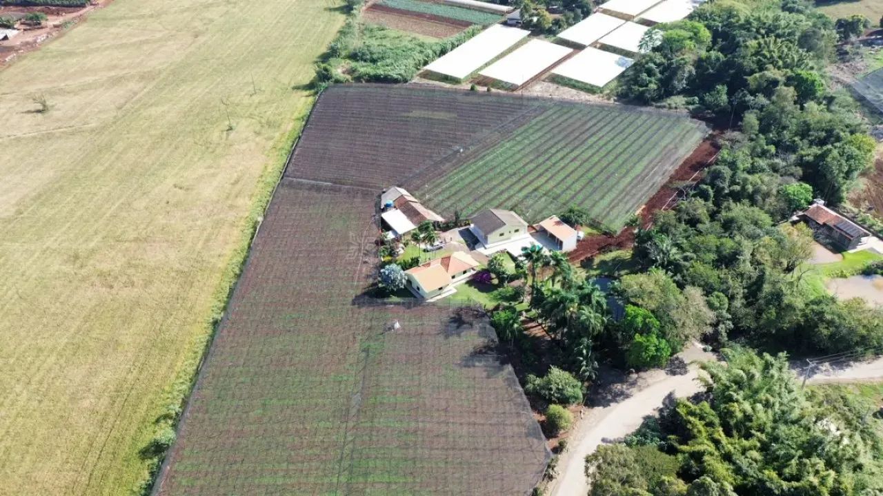 Sítio produtor de uva em Mandaguari - Foto 3