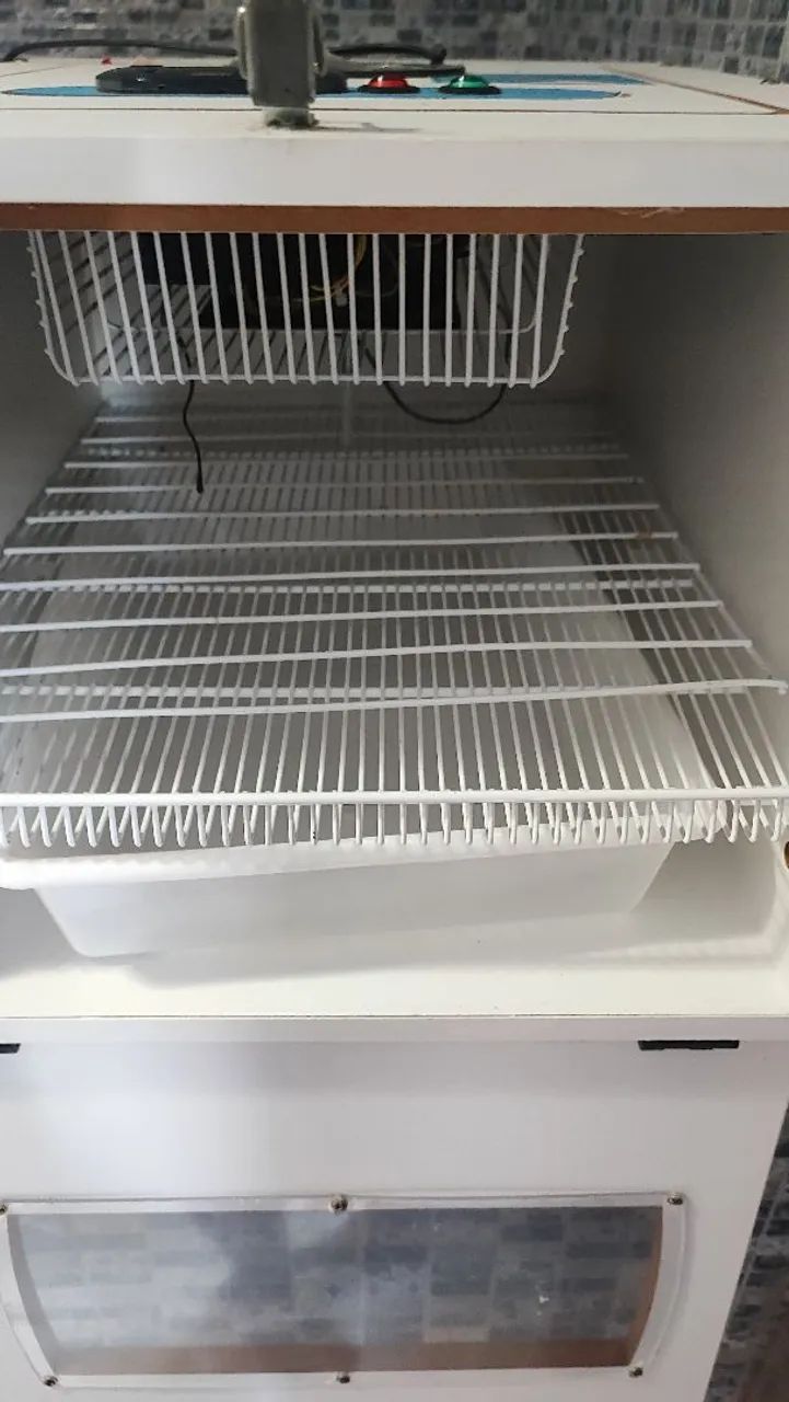 Chocadeira Automática July - Foto 5