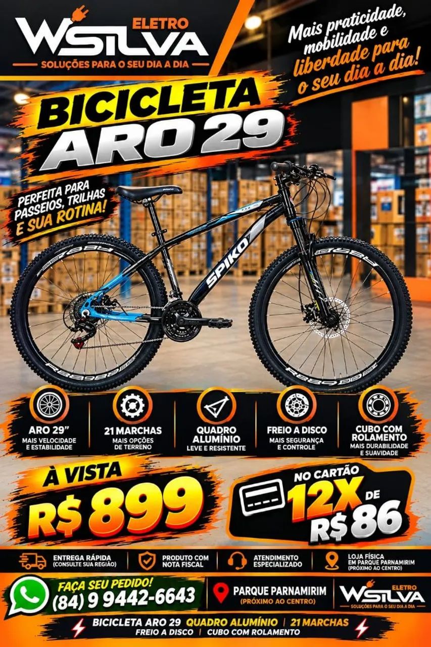 Bicicleta aro 29