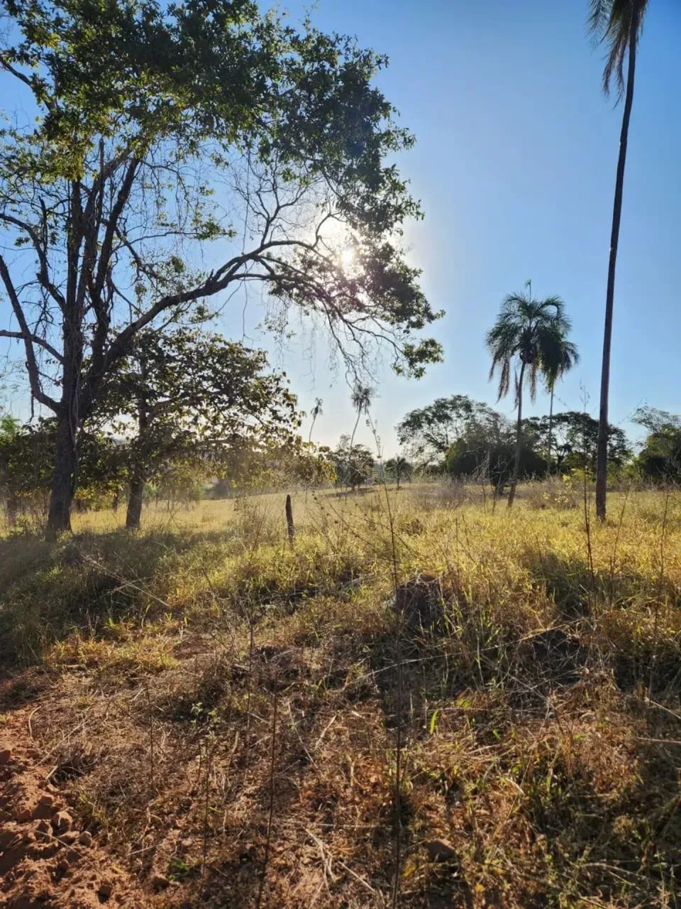 Fazenda a venda, em Uruana - Goiás!!! - Foto 3
