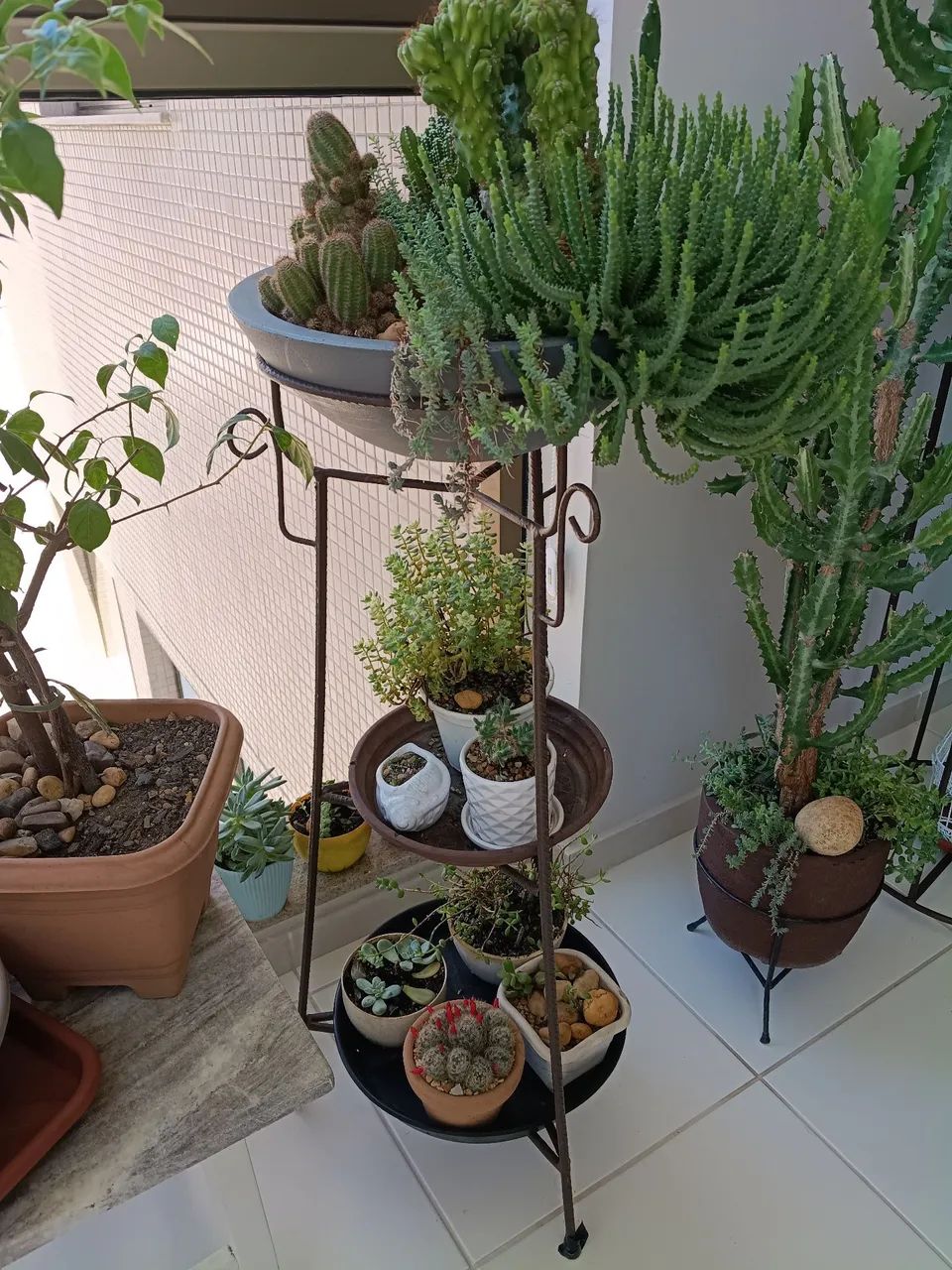 Tripé e banco para plantas