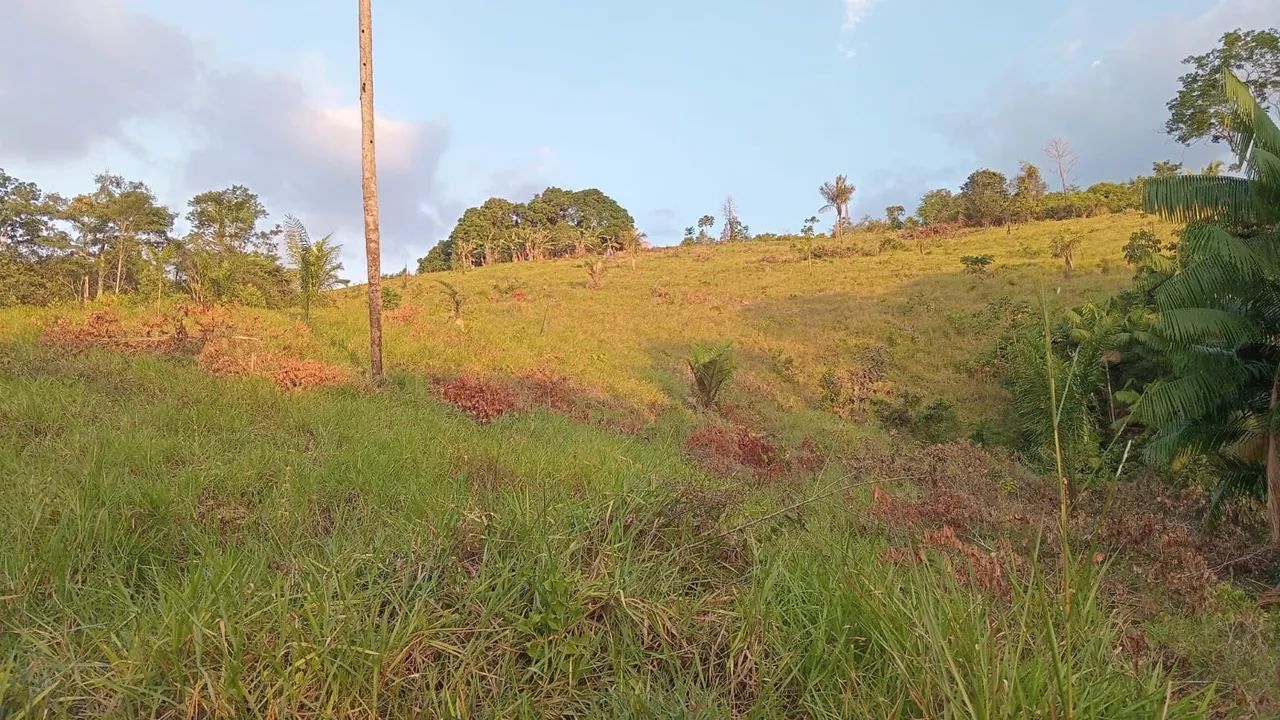 Lote a venda  - Foto 3