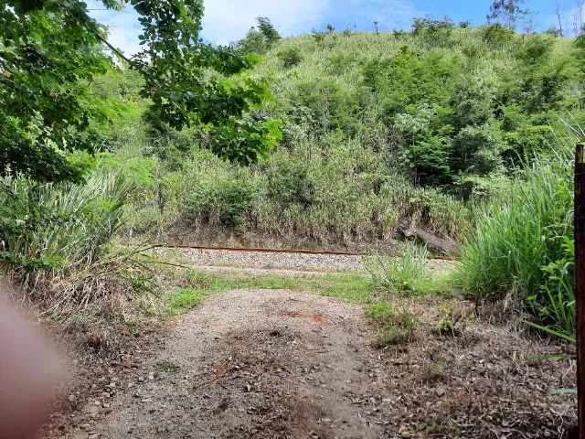 lote no Horto Baratinha - Foto 2