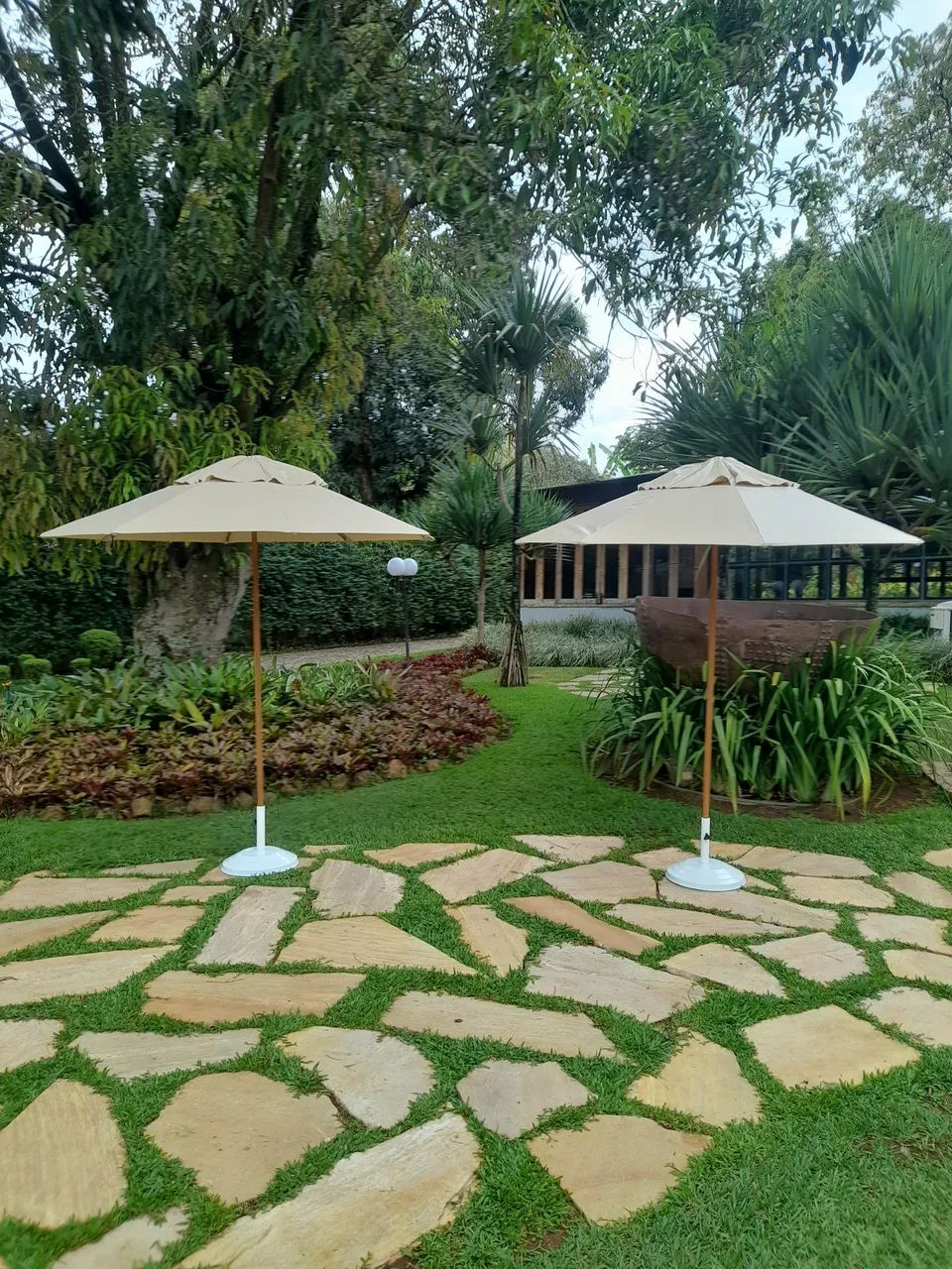 Aluguel de Ombrelones e Tendas