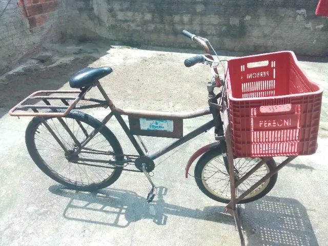 Bicicleta cargueira 