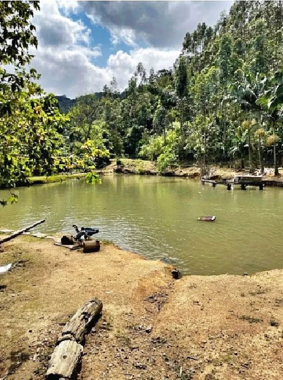 SÍTIO 5 Quartos, 15 Hectares, Açude - São Bonifácio - Foto 5