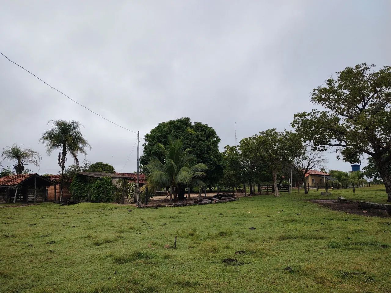 Vendo fazenda em Paranã TO com 272 ha - Foto 2