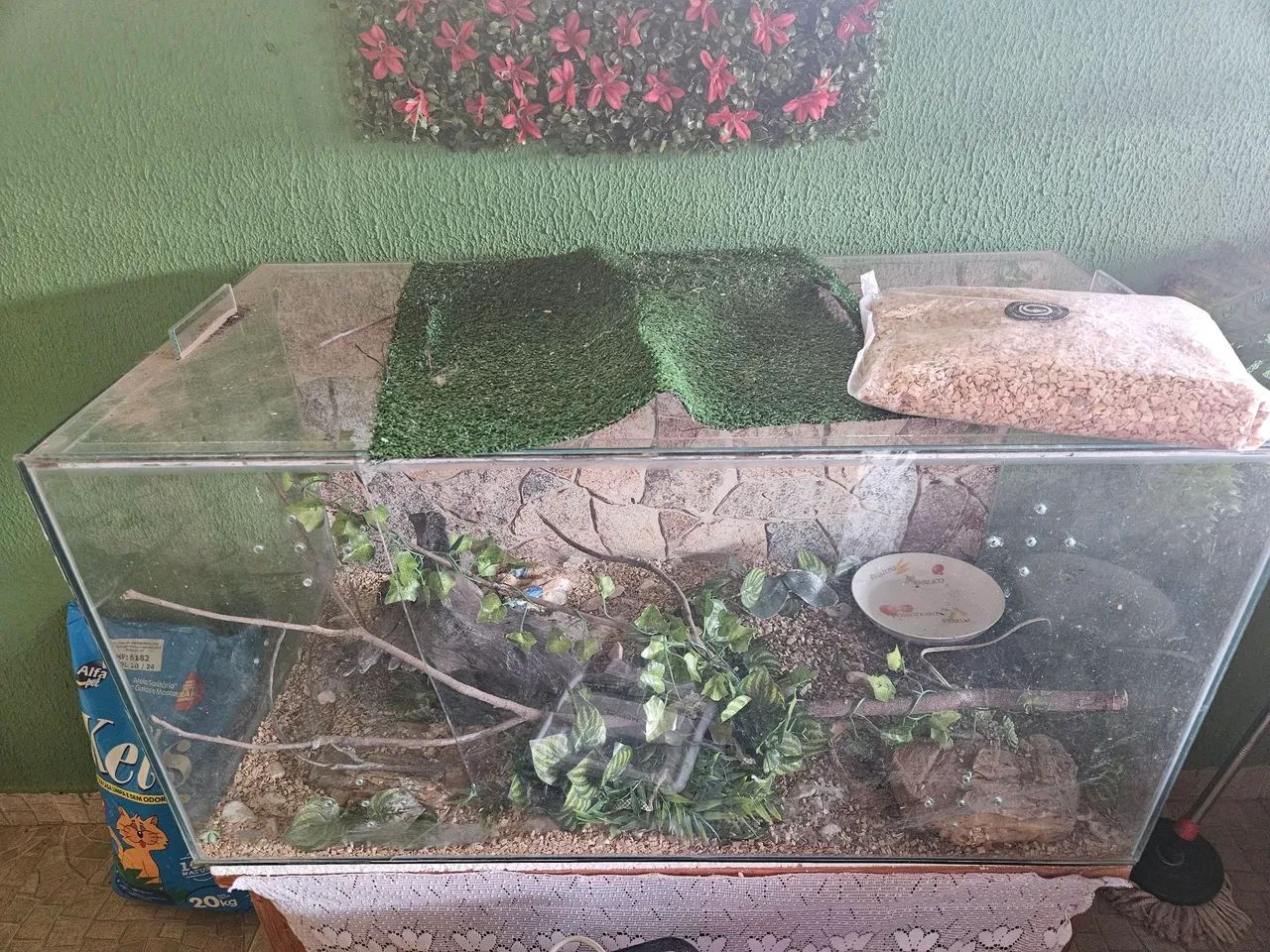 Terrario  grande - Foto 2