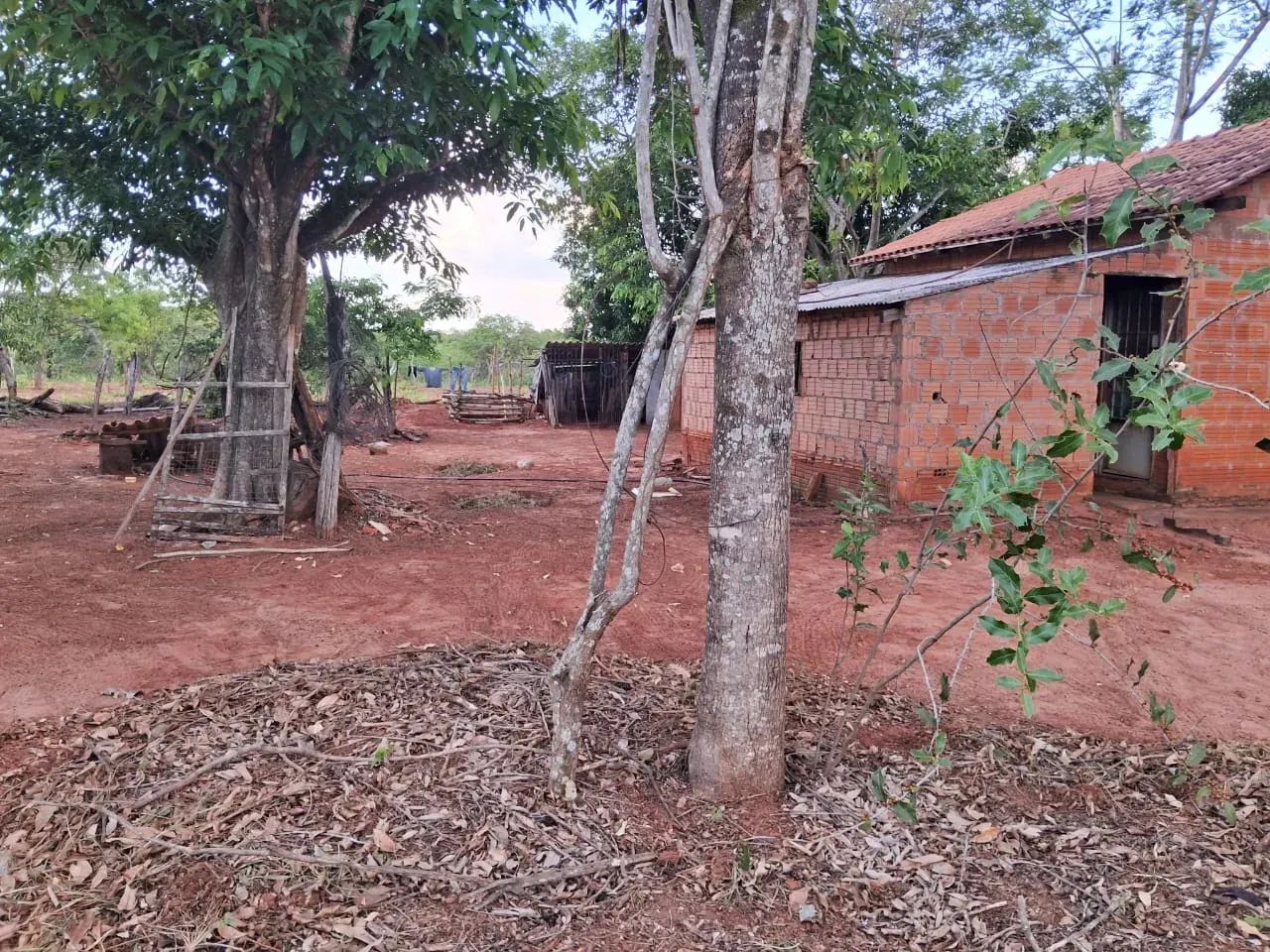 COD559 - Chácara a venda - 14hectares em Terenos/ MS. - Foto 5