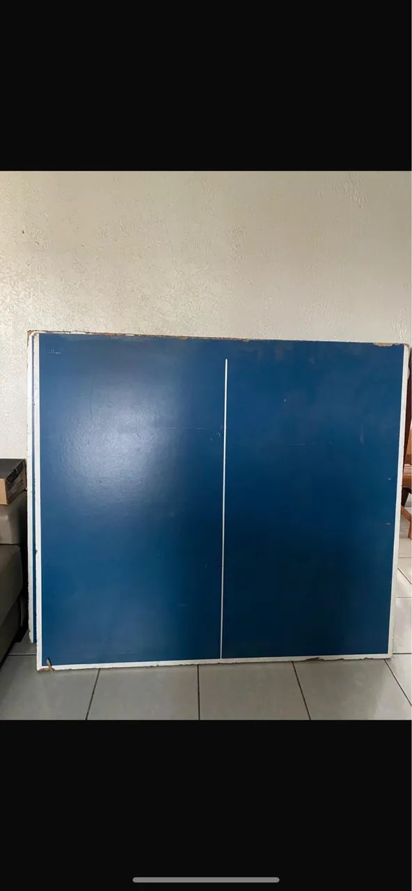 Tênis de mesa, ping pong 