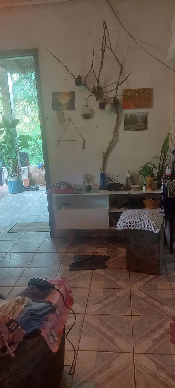 Sítio em Morretes venda ou troca  - Foto 3