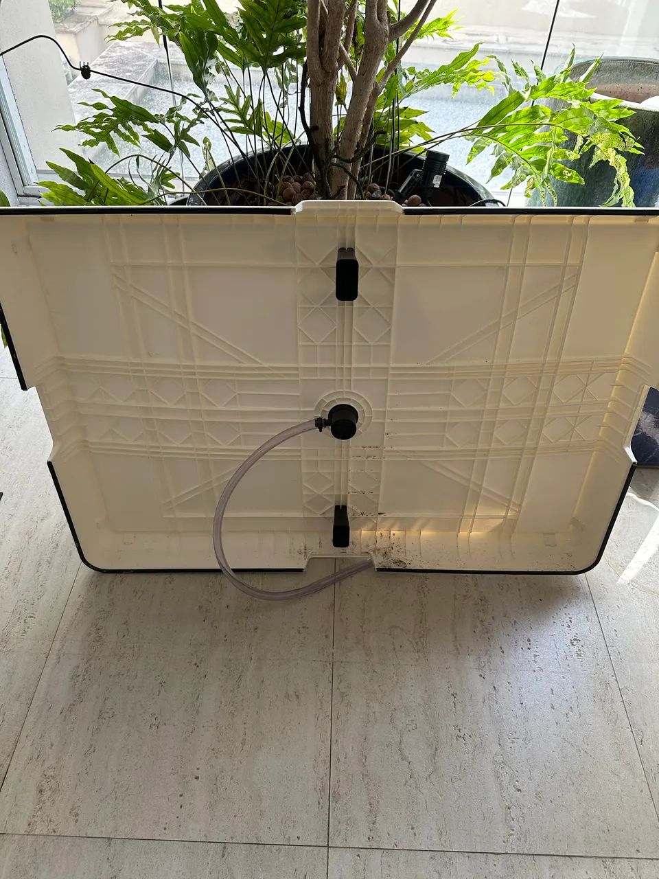 Tapete/banheiro para cachorro - WEASY - Foto 4