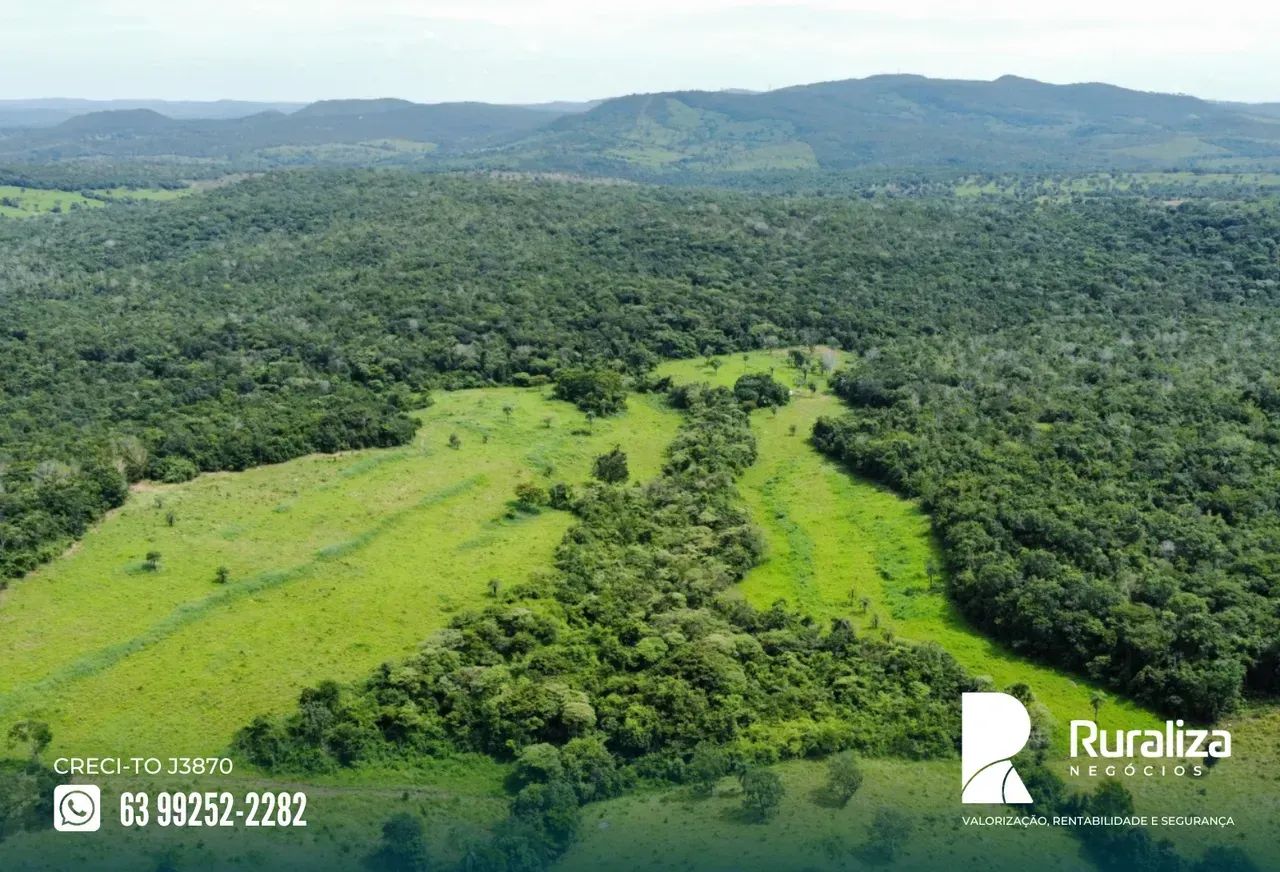 39 ALQUEIRES | 95 HA PARA ABERTURA | RIO PIRANHAS - Foto 2