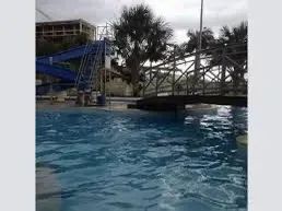 Lote no cond Montenegro Boulevard - Foto 4