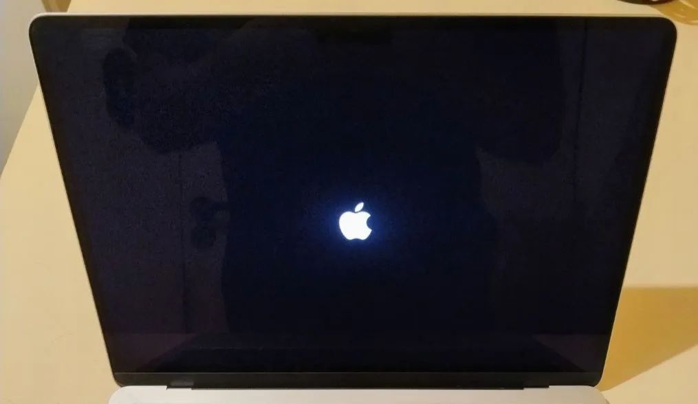Tela display prata Macbook Air M3 2024 A3113 - Foto 2