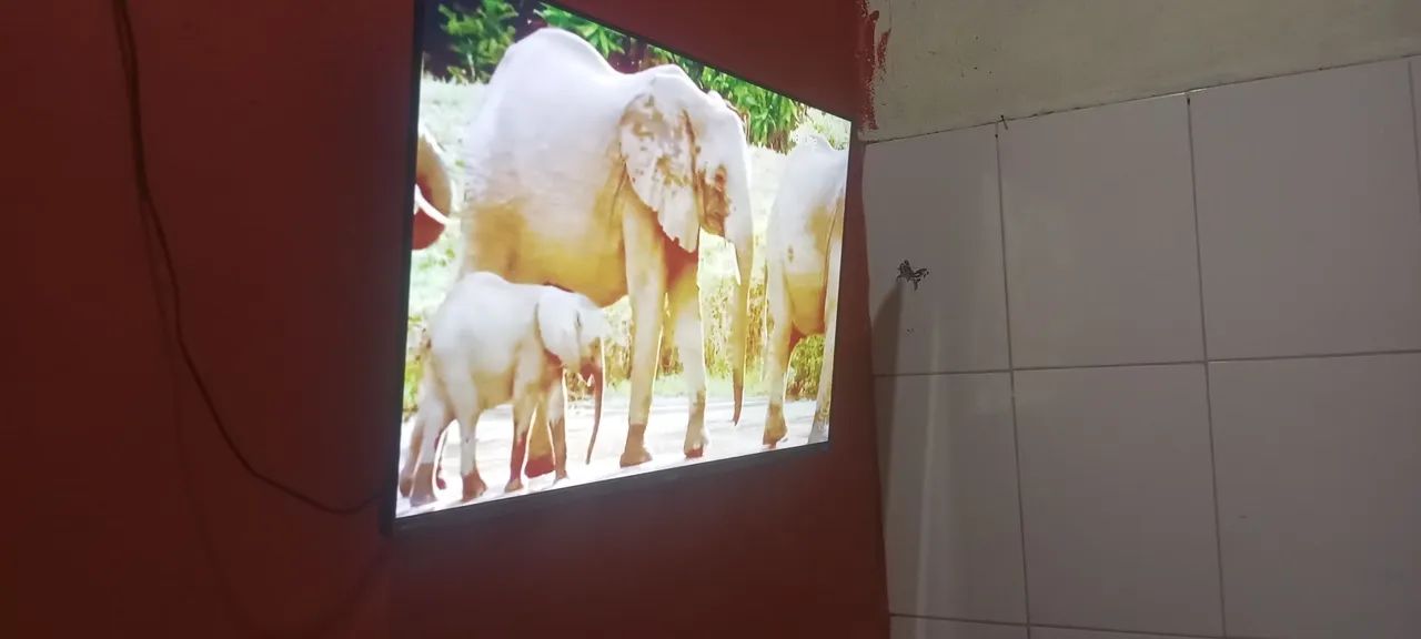 Televisão  - Foto 3